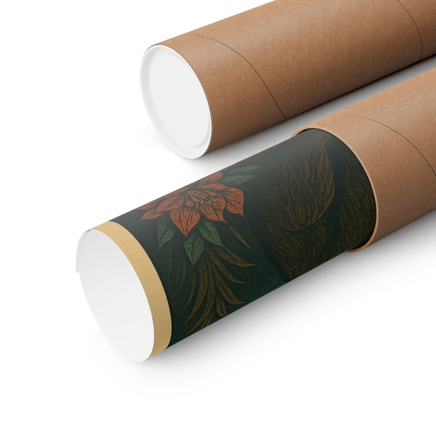 Widespread Panic Asheville July 24-26, 2025