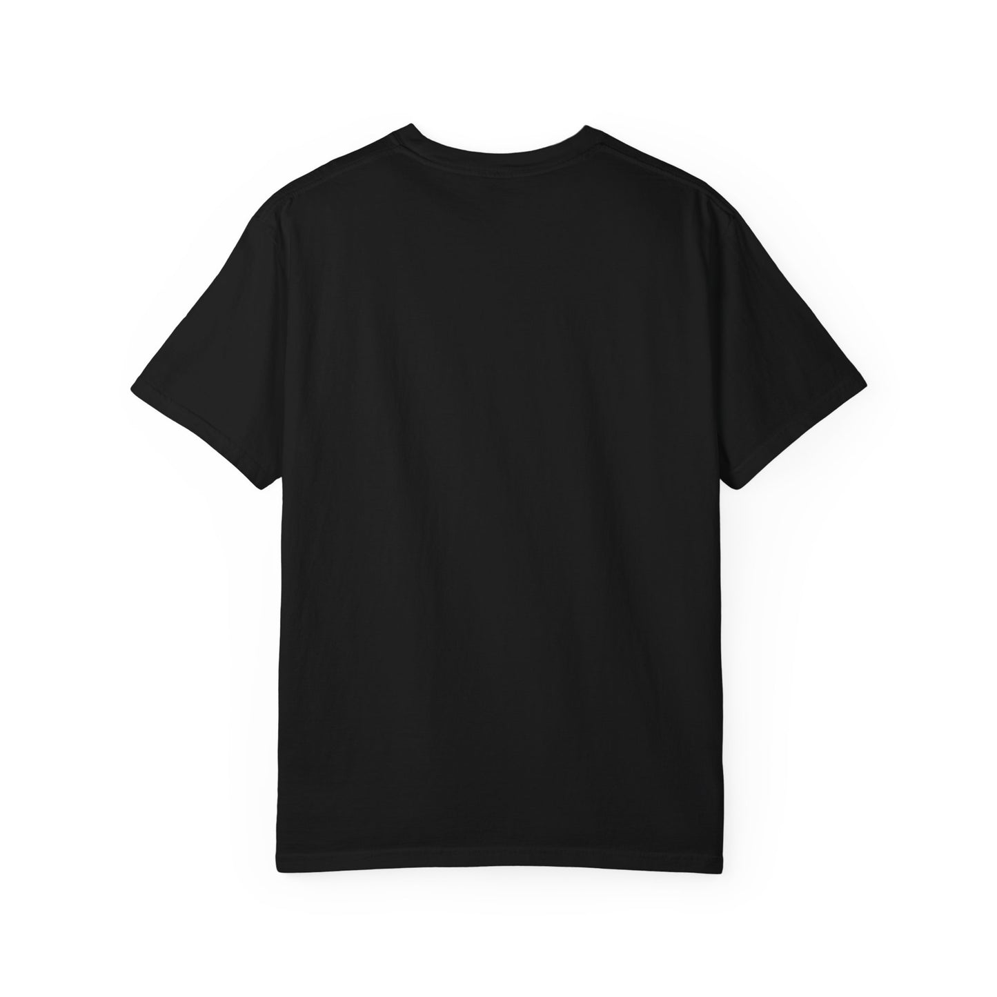 Goose | 9/17/25 | Madison, WI | Concert t-shirt | V3