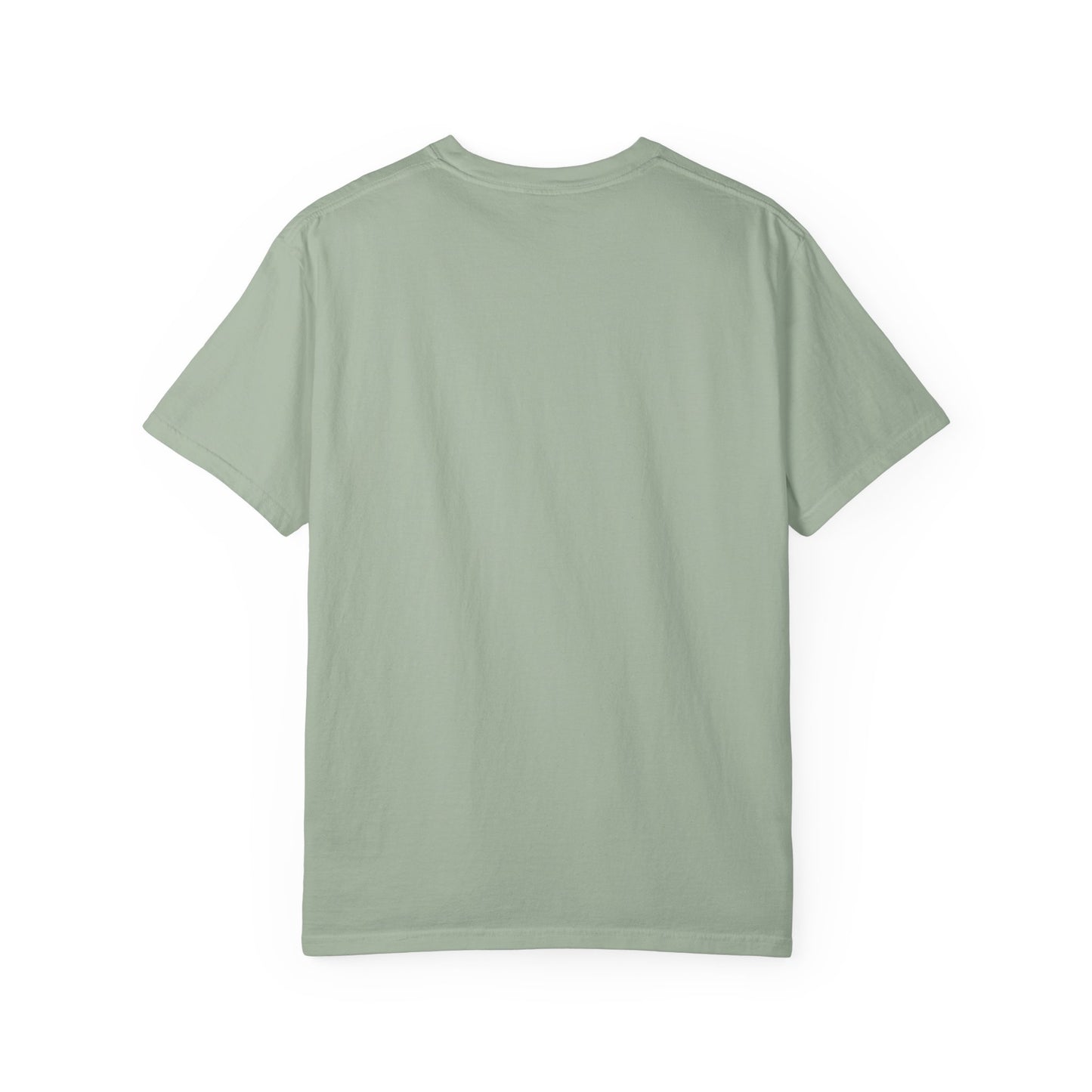 Goose | 9/19/25 | Sterling Heights, MI | Concert t-shirt  V2