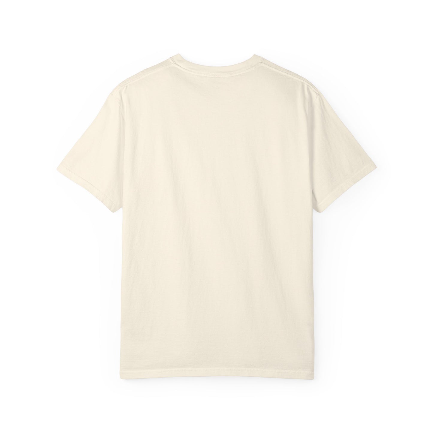 Goose | 9/26/25 | Alpharetta, GA | Concert t-shirt | V1