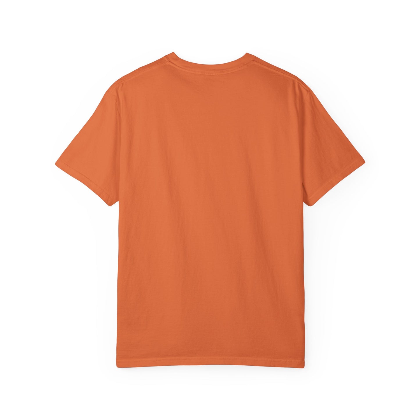 Goose | 9/26/25 | Alpharetta, GA | Concert t-shirt  | V2