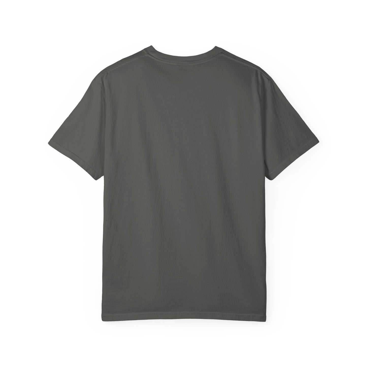 Goose | 9/20/25 | Chicago, IL | Concert t-shirt  | V2