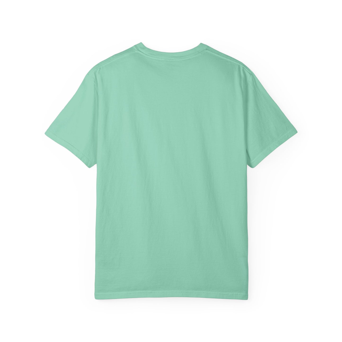 Goose | 9/23/25 - 9/24/25 | Louisville, KY | Concert t-shirt  | V3