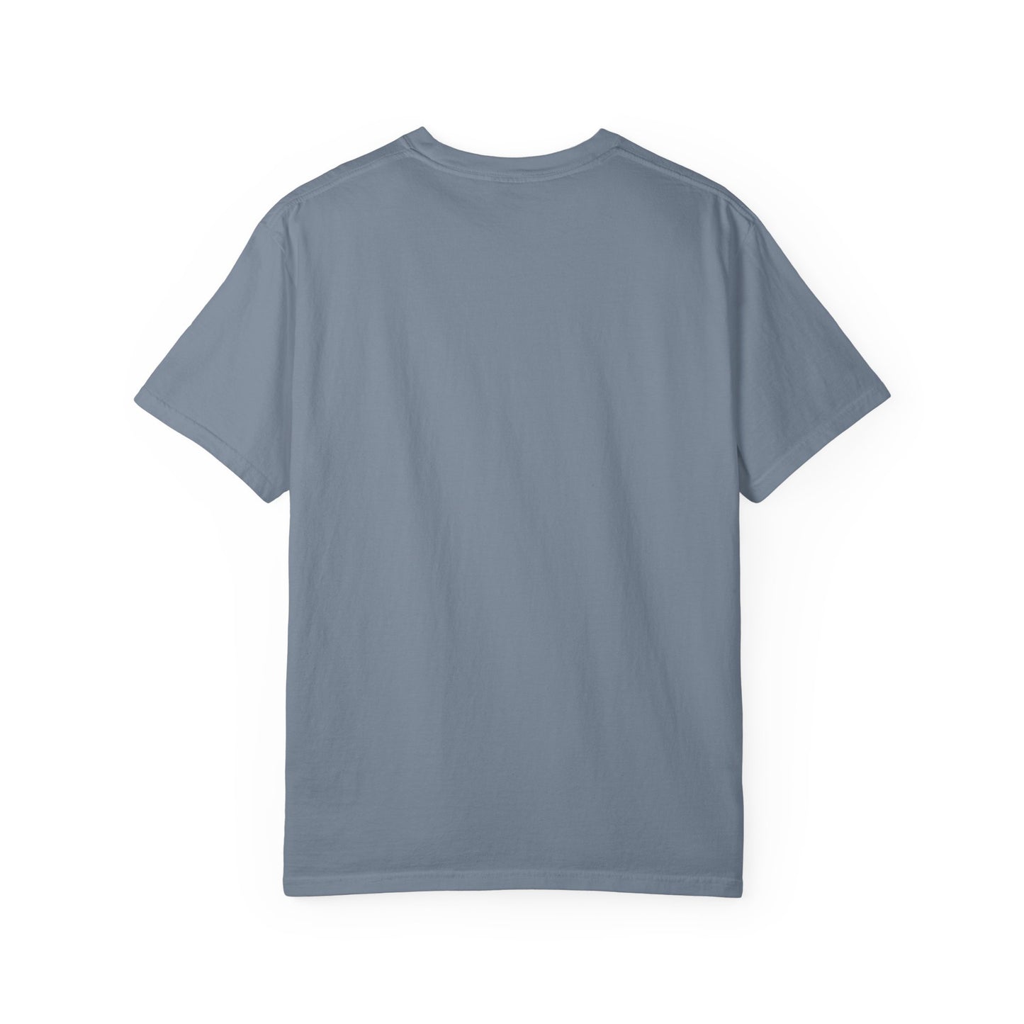 Goose | 9/20/25 | Chicago, IL | Concert t-shirt  | V1