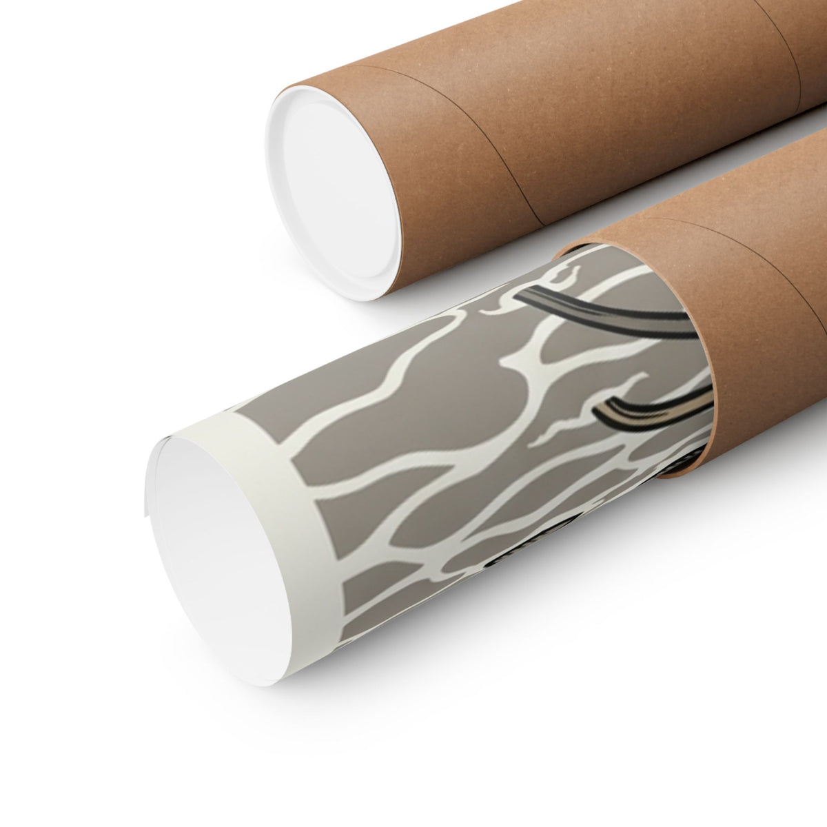 Goose | August 13, 2026 | San Diego, CA | Concert Poster