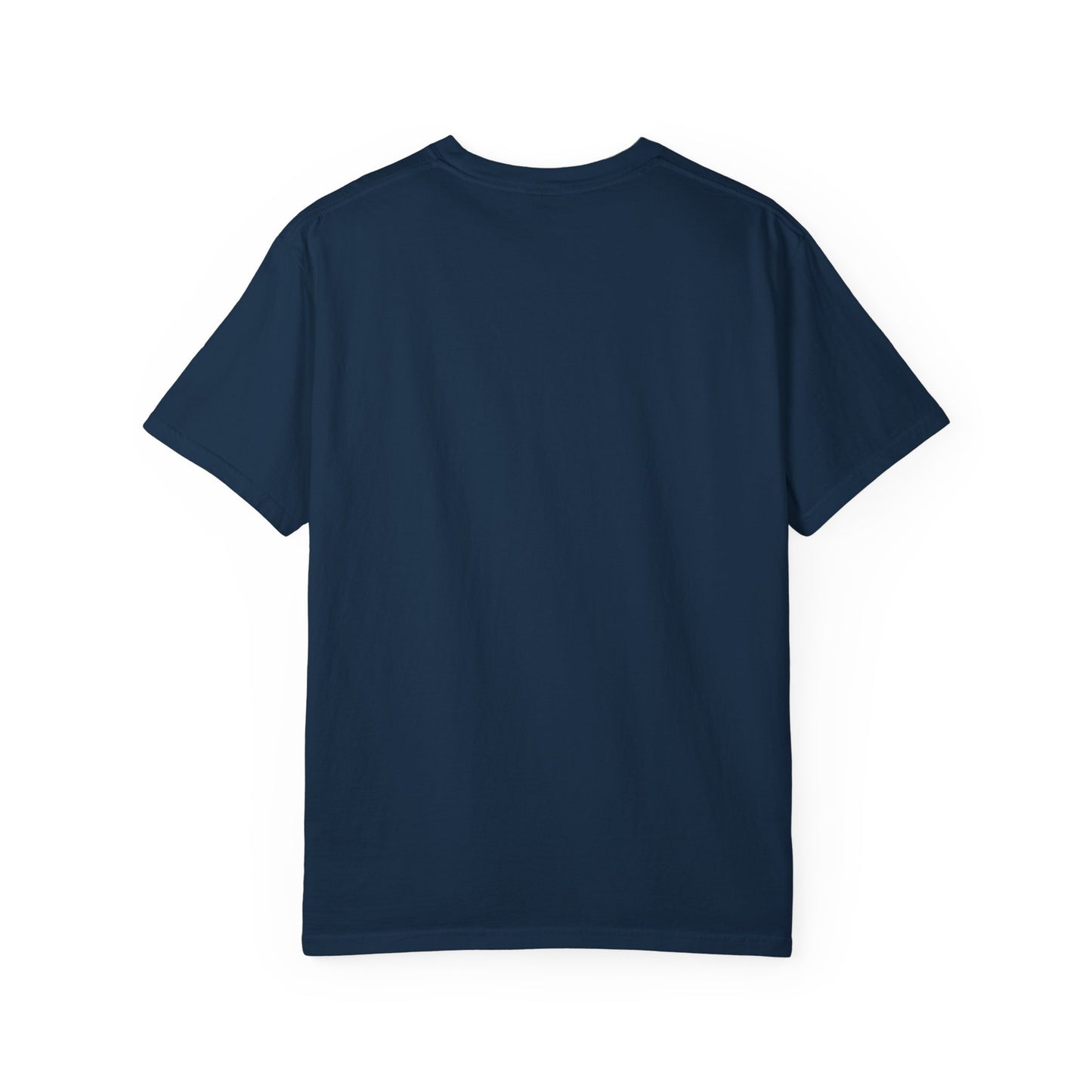 Goose | 9/20/25 | Chicago, IL | Concert t-shirt  | V2